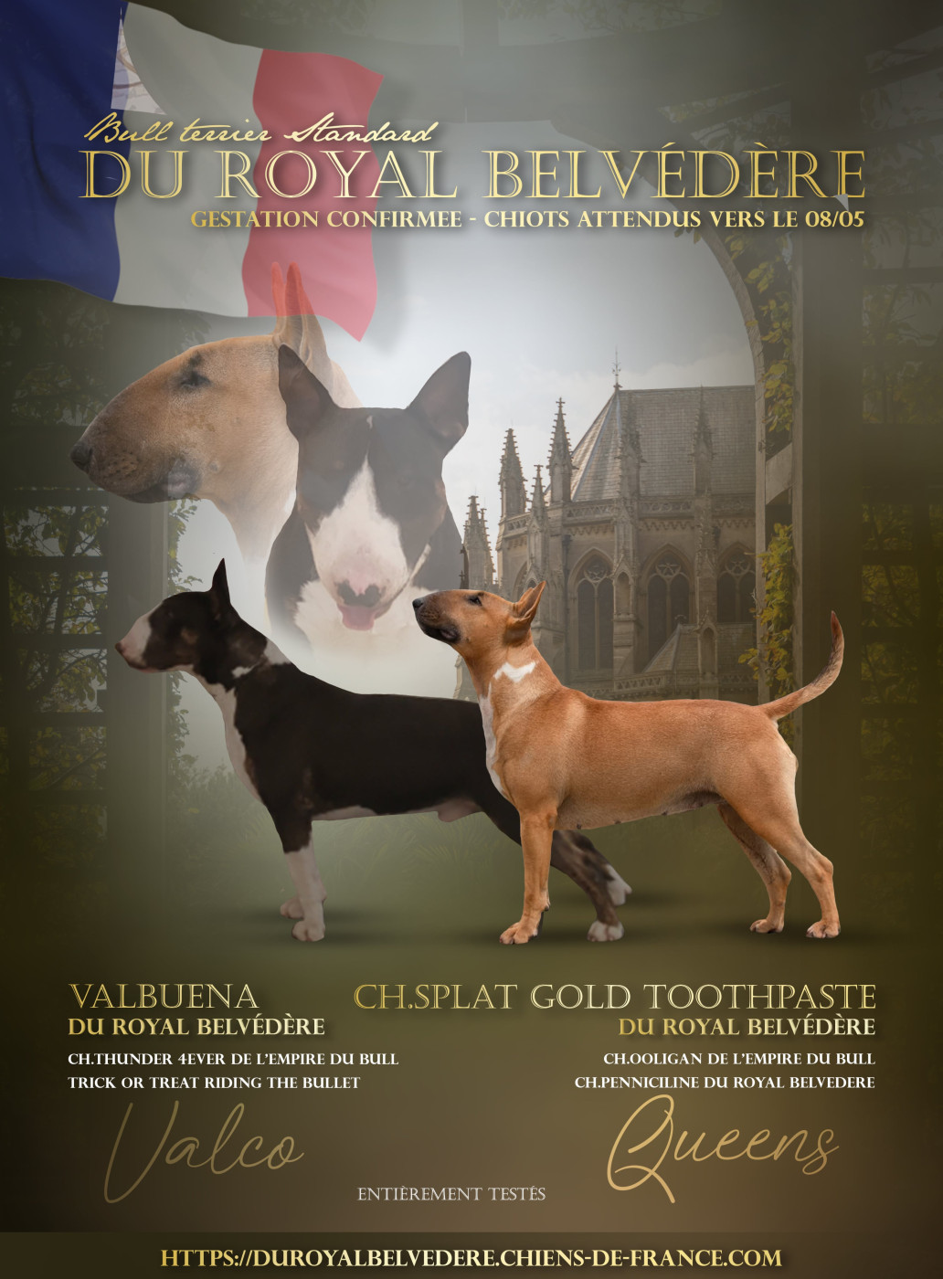 Gestation confirmée ! Naissance attendue pour mai 2026